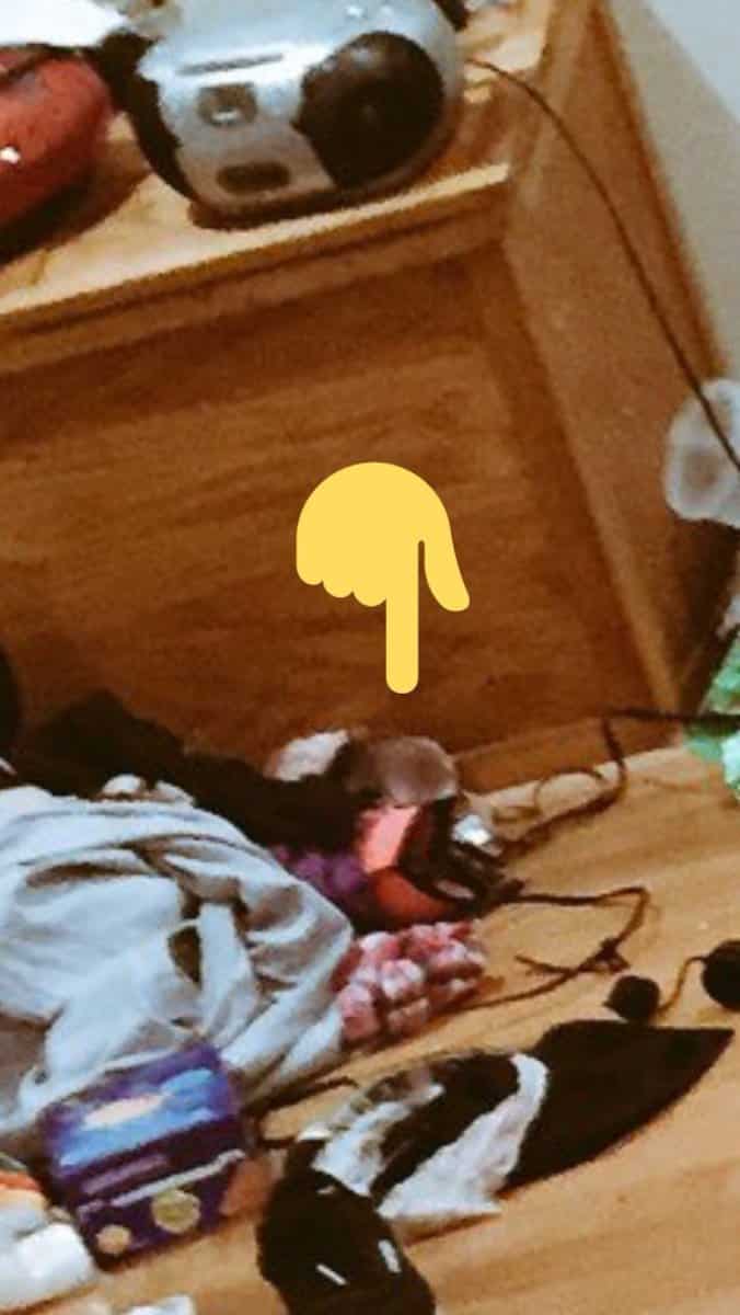 Winning shot: A netizen spotted what seems to be a rat.