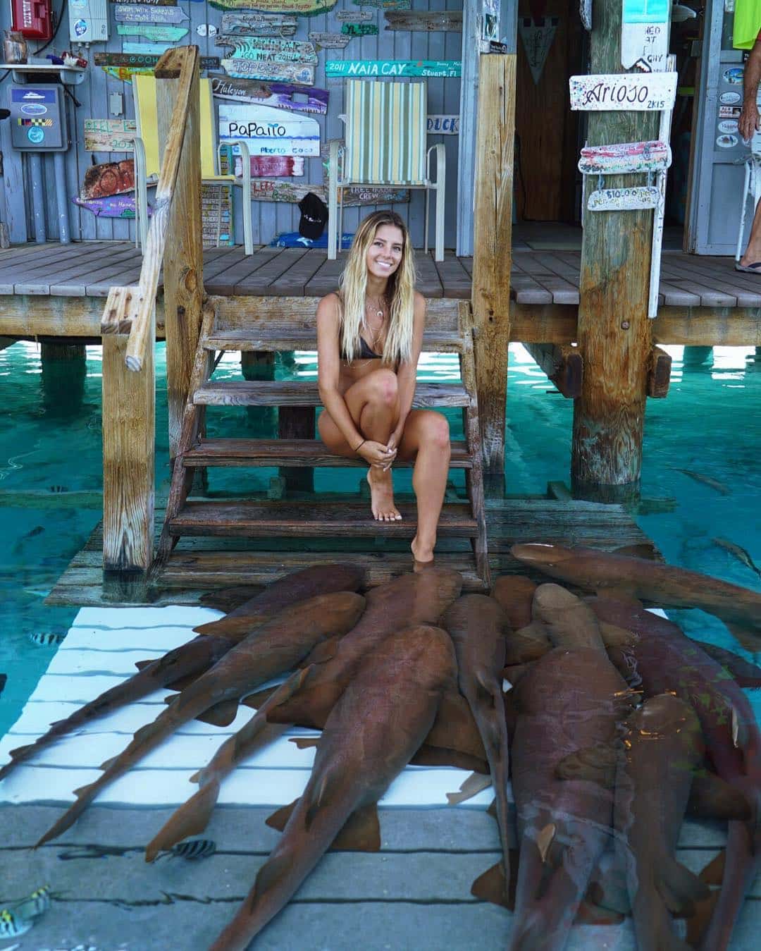 instafamous-bikini-clad-law-student-5