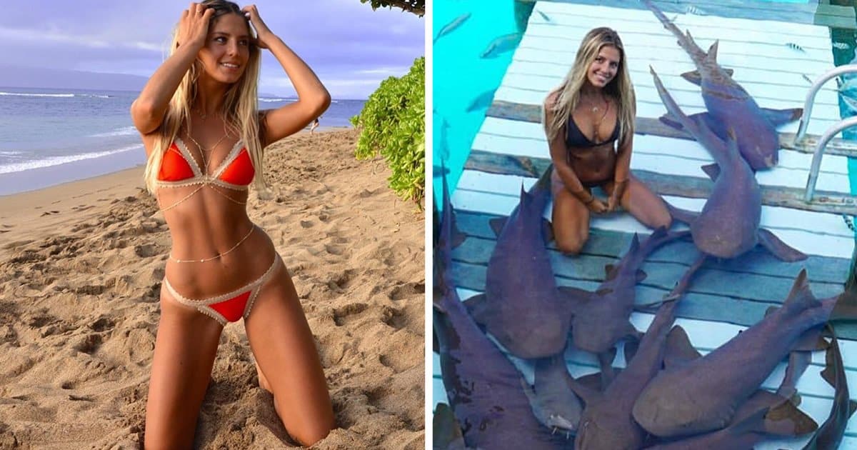 instafamous-bikini-clad-law-student-sarah-kohan-featured