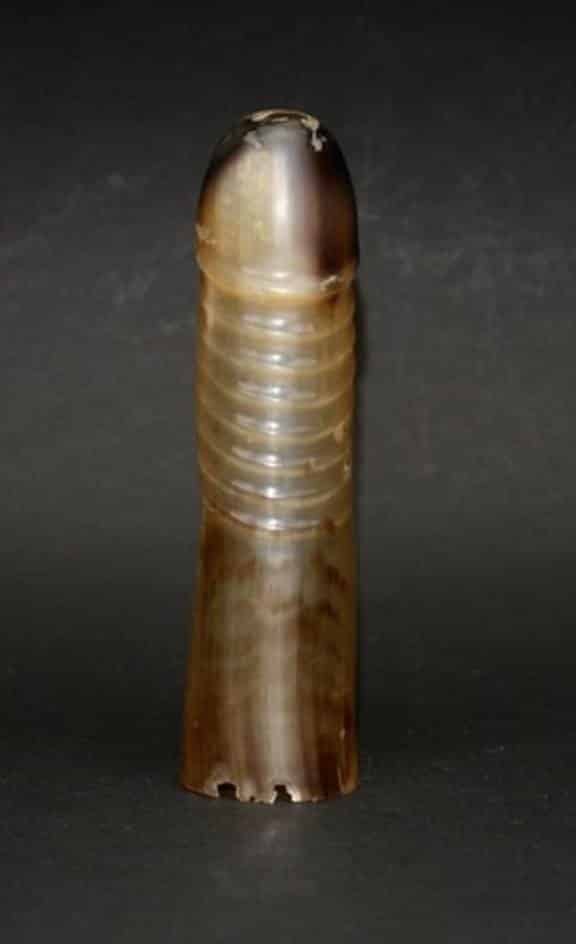 tortoise-shell-condom