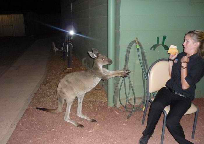 31. I want that sandwich.