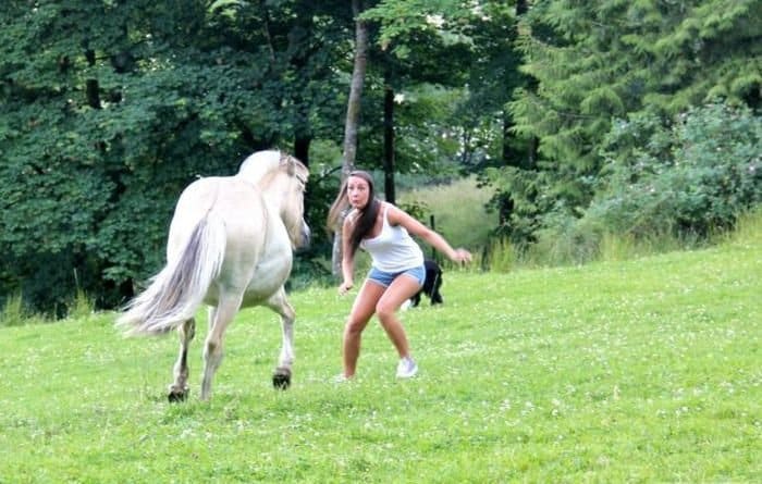 36. Don’t ride a wild horse.