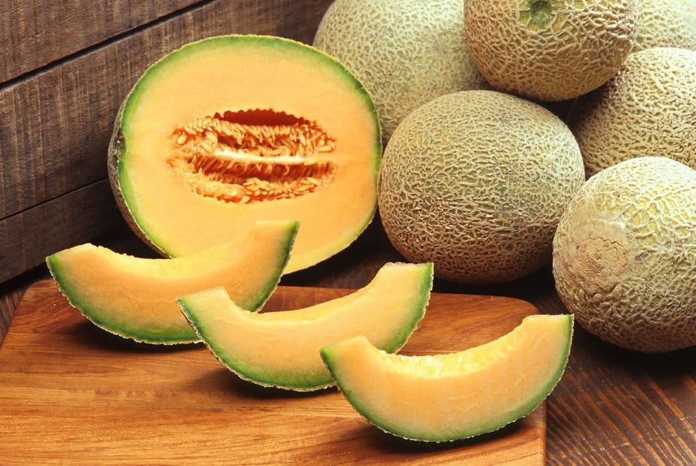 cantaloupe