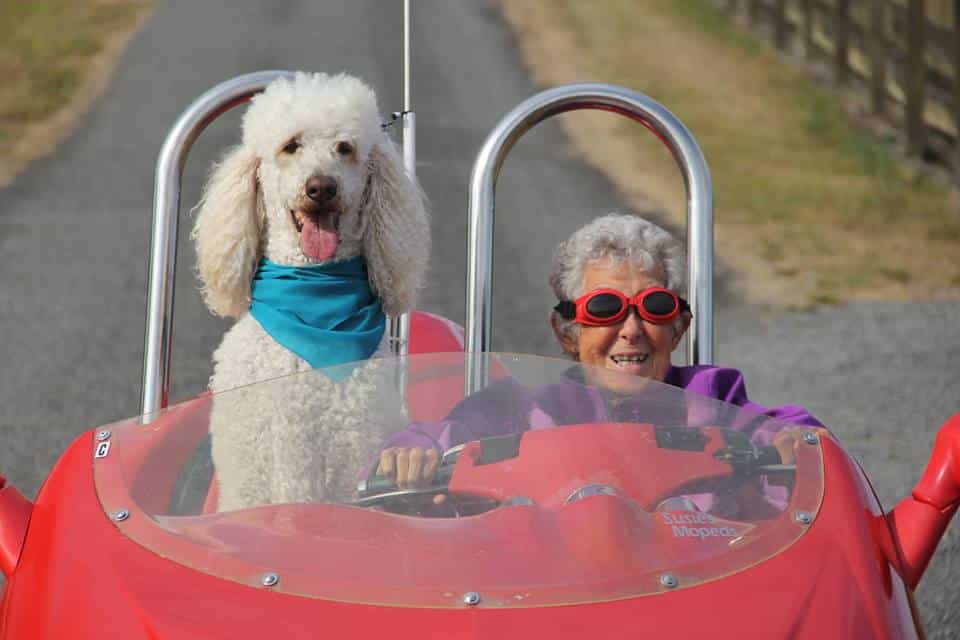 driving miss norma 14