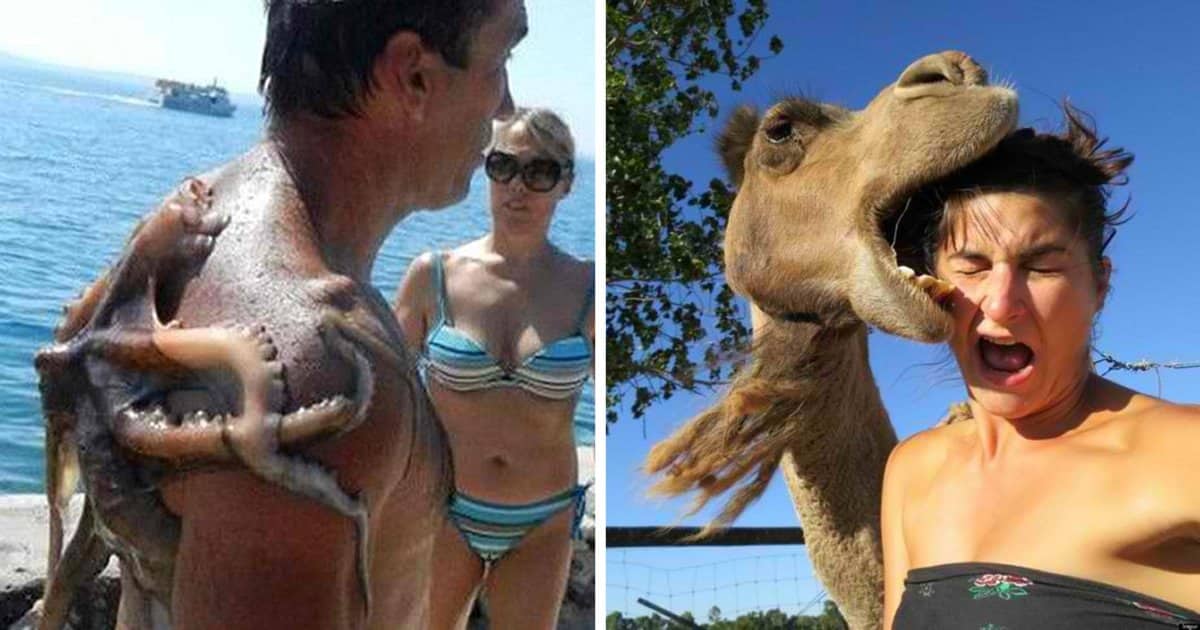 moments-before-disaster-photos-animal-attacks-featured