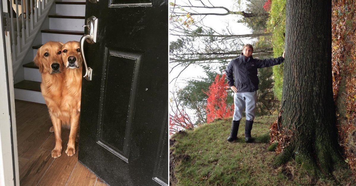 Perfectly Timed Photos