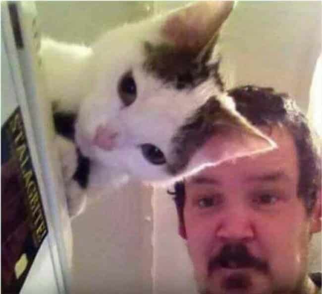 Photos That Will Make You Look Twice 17