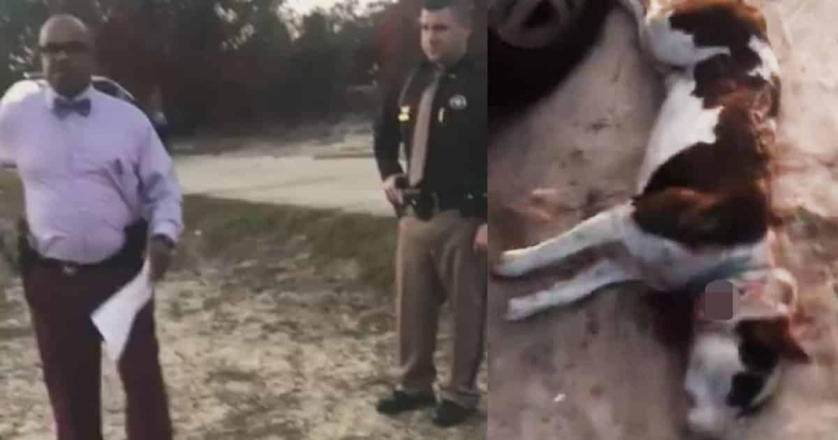 cops kill family dog fp