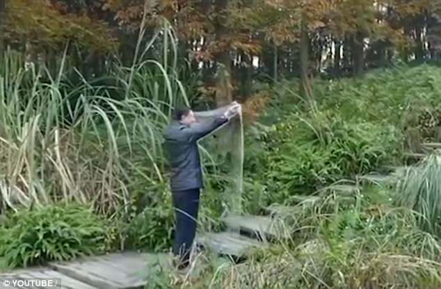 invisibility cloak 1