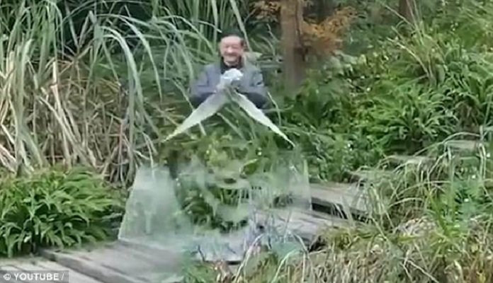 invisibility cloak 2