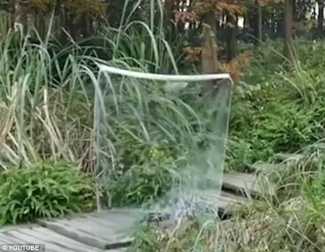 invisibility cloak 3