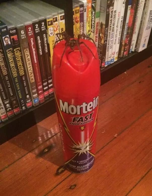 People Experiencing Worst Day Ever 39