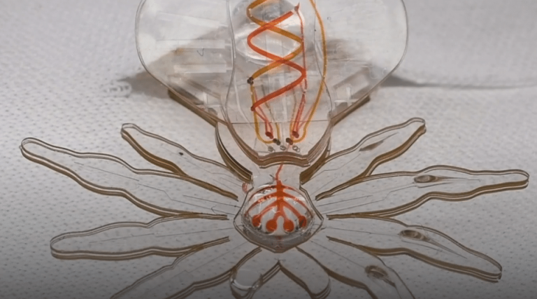 Spiders Invention New Invention Soft Robot Spiders Could Be The Future Of Medical Science ...
