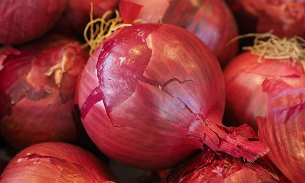 What Happens When You Put an Onion on Your Ear Overnight Elite Readers