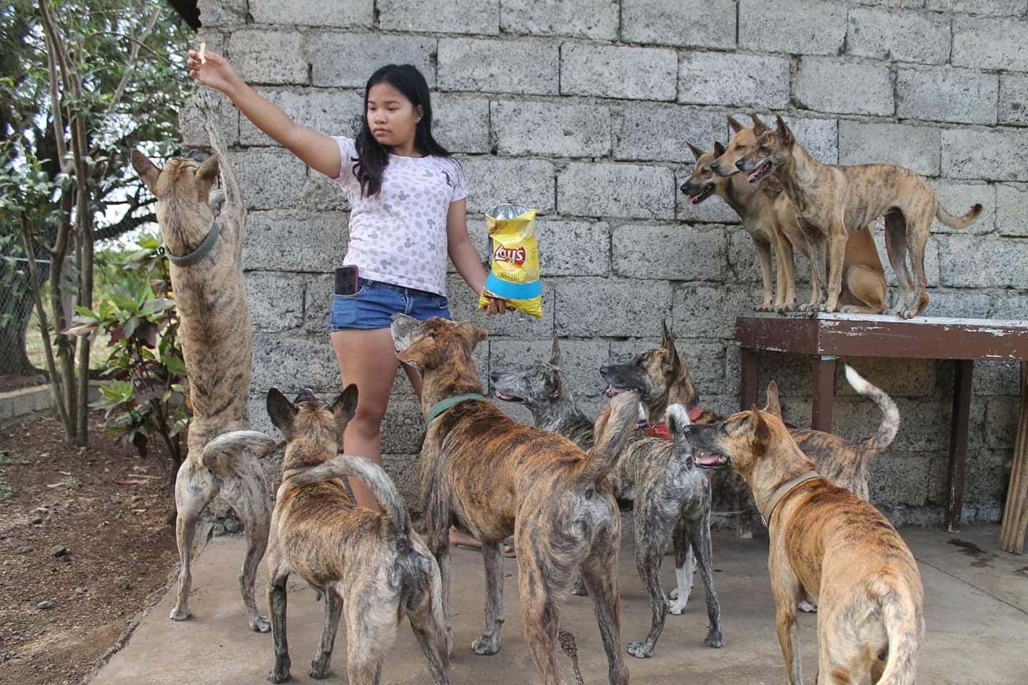 Philippine ‘Witch Dog’ Found in Jungles, Could Be a 36,000-Year-Old ...