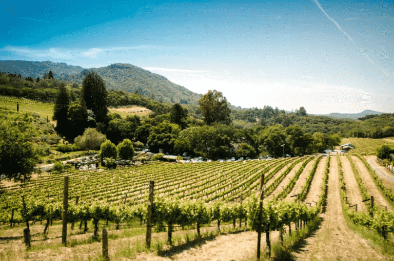 California Winery To Pay Qualified Applicant 10,000 A Month To Work